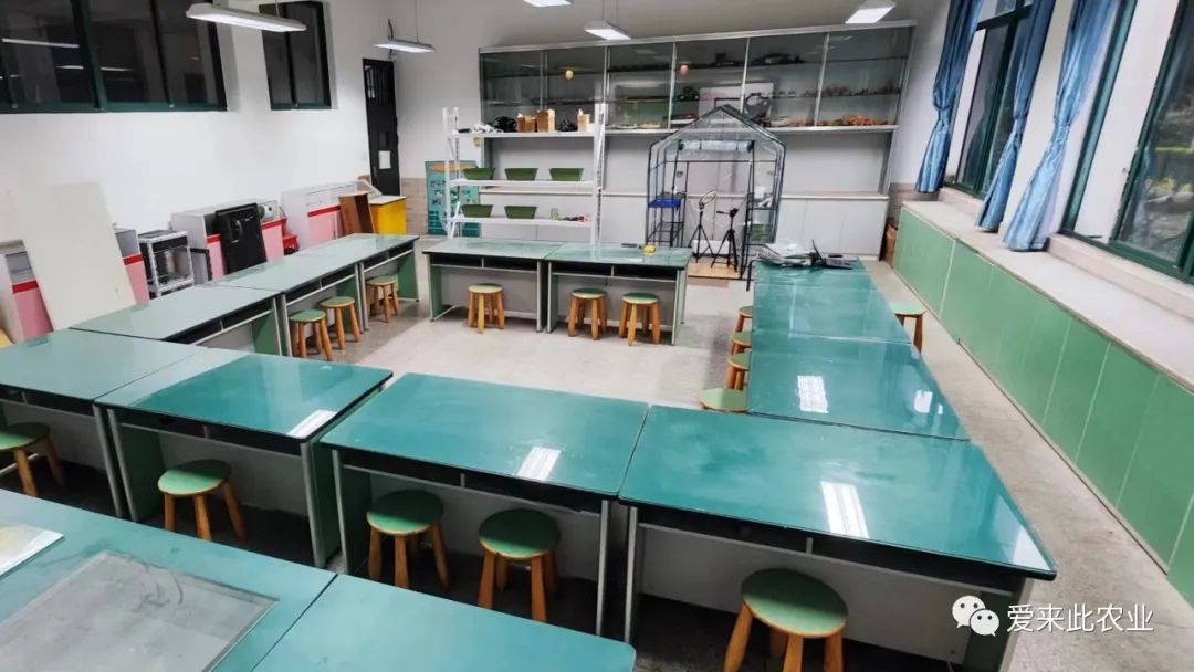 “智能种子成长实验室”交付年末最后一站